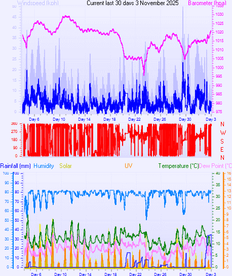 Graph for Month 11 Graph for Month 11