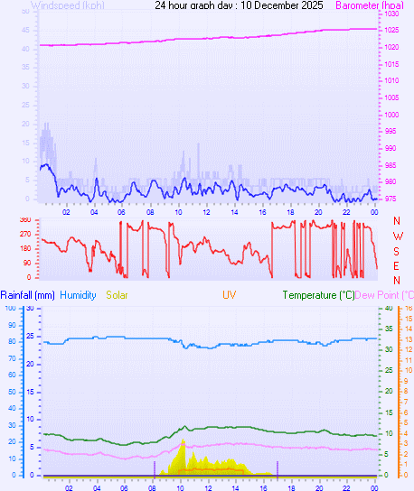 24 Hour Graph for Day 10