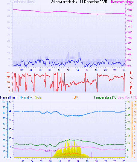 24 Hour Graph for Day 11