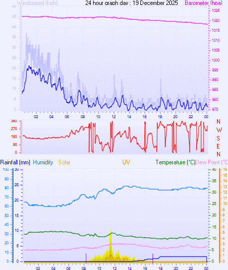 24 Hour Graph for Day 19