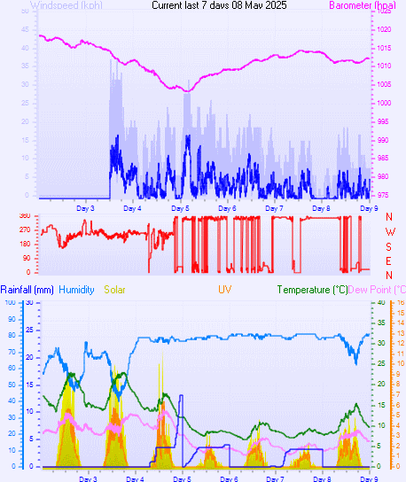 Last 7 Days